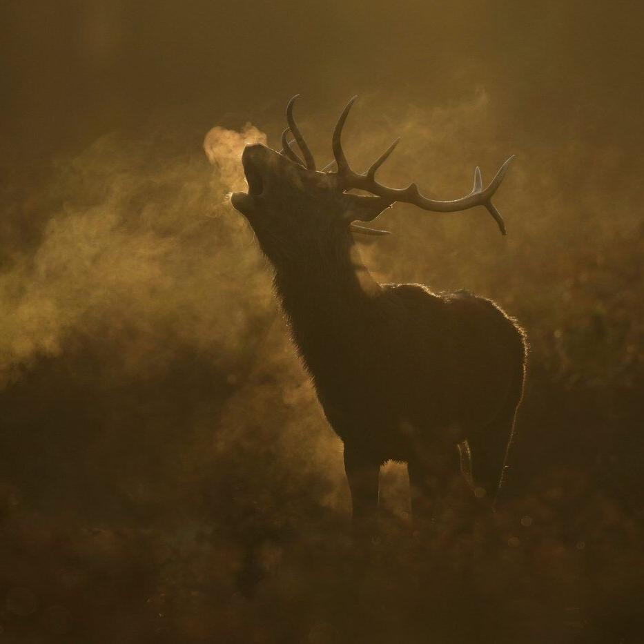 The top photos of the day by AP's photojournalists